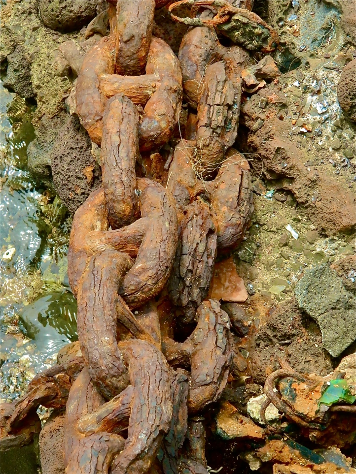 Lahaina Rusty Chain